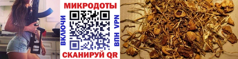 купить  цена  блэк спрут онион  Псилоцибиновые грибы MAGIC MUSHROOMS  Сосенский 